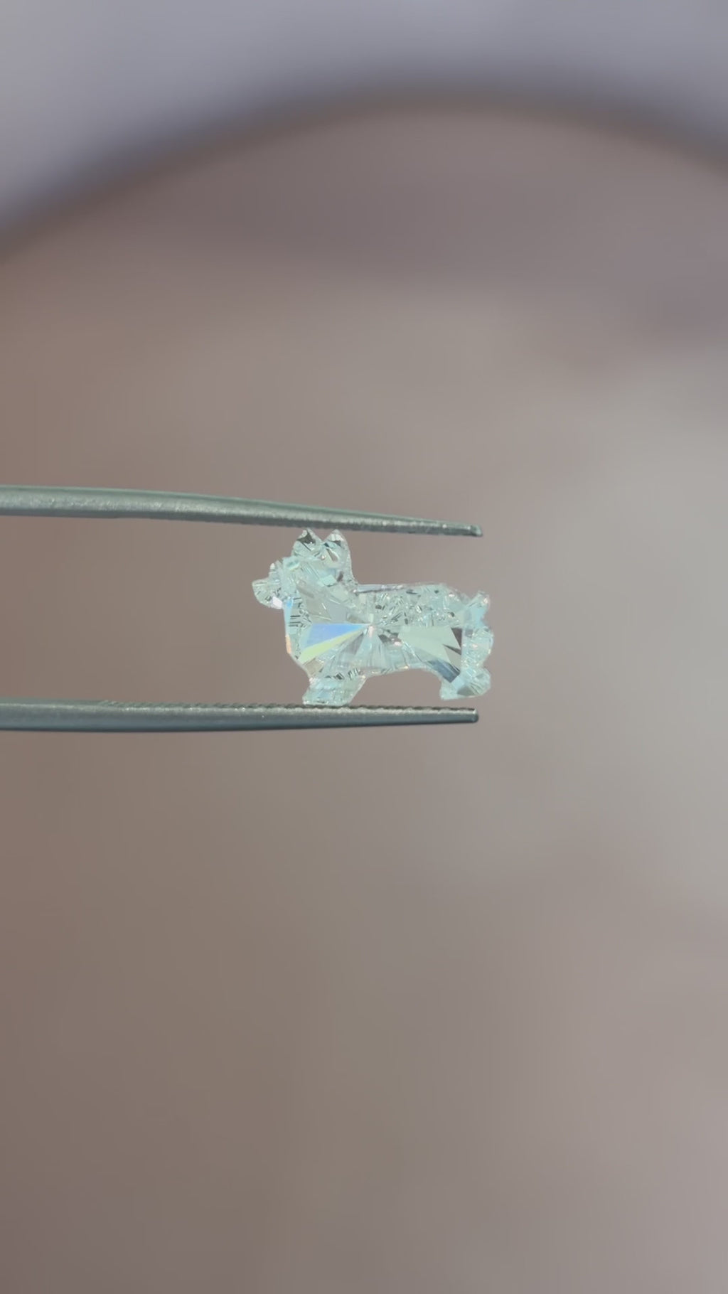 Corgi Cut Lab-Grown Necklace