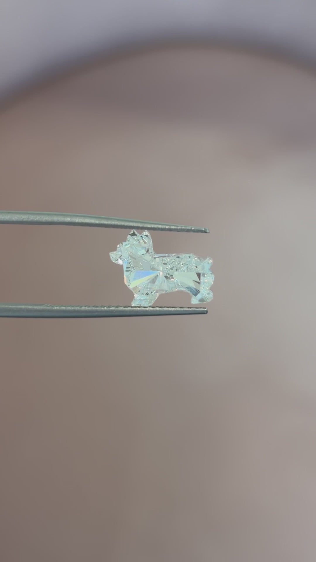 Corgi Cut Lab-Grown Necklace